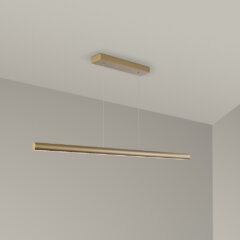 20250221 Holtkoetter Viona M Mueta Bronze 0172 1000x1000