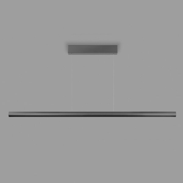 20250221 Holtkoetter Viona M Platin 0025 NEU 1000x1000 1